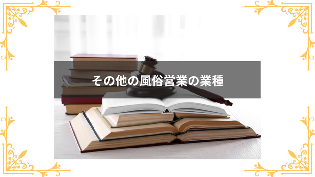 その他の風俗営業の業種を紹介